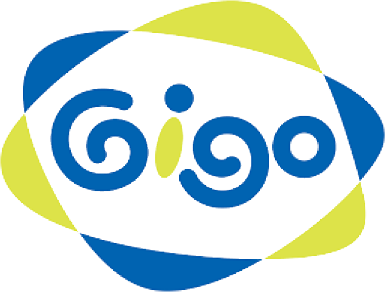 GIGO